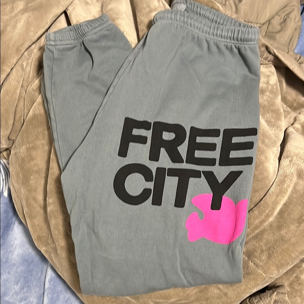 Free City Womens Gray Sweatpants